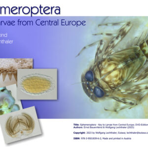 Ephemeroptera: Lizenz 1